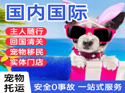 百色巴马航空邮寄国际宠物托运 【国